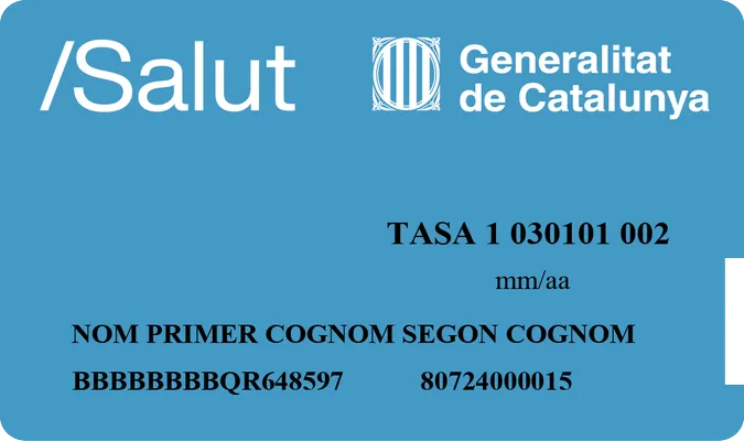 ACATOR, en el procés de desenvolupament del ge-PAO