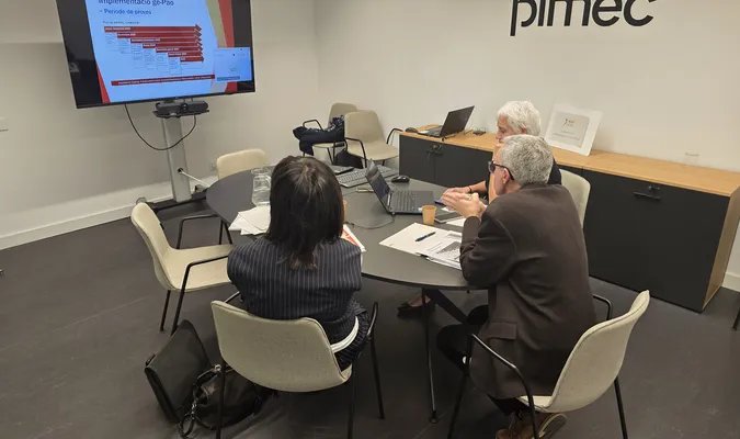 LA SESSIÓ ONLINE, ÚTIL I CLARIFICADORA